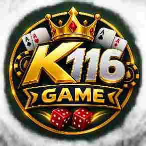 k116 Game
